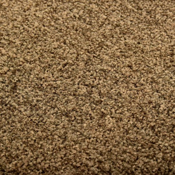 vidaXL Paillasson lavable Marron 40x60 cm