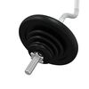 vidaXL Barre d'halt&egrave;res avec plaques 60 kg fonte et acier chrom&eacute;