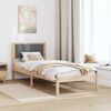 vidaXL Cadre de lit avec t&ecirc;te de lit Gris fonc&eacute; 80 x 200 cm Pin massif