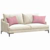vidaXL Coussins de canap&eacute; 2 pcs Rose 60 x 40 cm