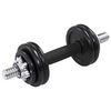 vidaXL Ensemble d'halt&egrave;res 19 pcs 15 kg Fonte