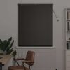 vidaXL Store de Fen&ecirc;tre avec des rideaux Noir Aluminium