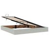 vidaXL Lit de Rangement avec matelas Gris clair 200 x 200 cm Velours