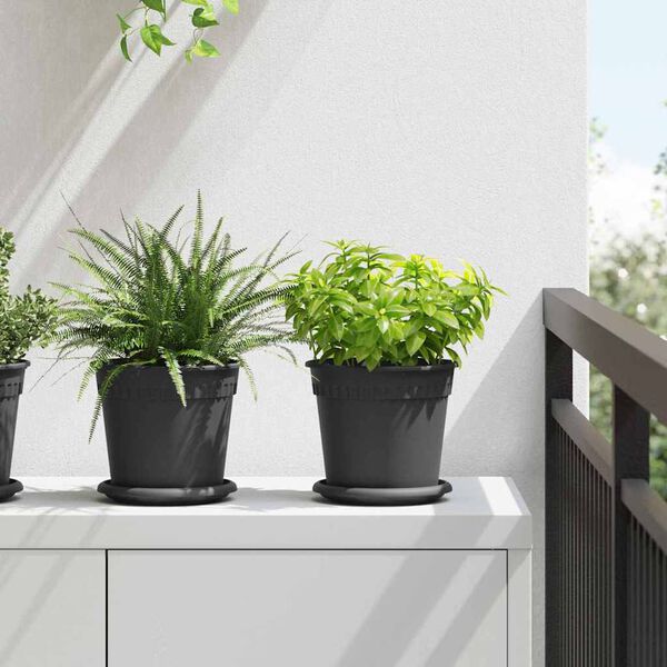 vidaXL Plateau &agrave; fleurs rond 6 pcs Noir &Oslash; 15,5 x 2 cm Plastique