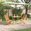 vidaXL Ensemble bistro pliant 3 pcs Marron Bois d'Acacia Massif