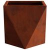 vidaXL Jardini&egrave;re 2 pcs Rouill&eacute; 30 x 30 x 30 cm