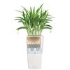 LECHUZA Jardini&egrave;re Cubico 40 ALL-IN-ONE Blanc haute brillance 18191