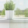 vidaXL Rideaux en voile avec boucles 2 pcs gris clair 140x175 cm