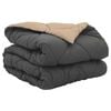 Anthracite_and_taupe