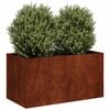 vidaXL Jardini&egrave;re rouill&eacute; 80x40x40 cm acier inoxydable