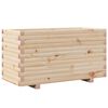 Natural_pine