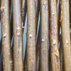 Nature Treillis de jardin 30x180 cm saule naturel marron