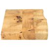 vidaXL Dessus de table 100x40x3,8cm bord vif bois massif manguier brut