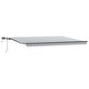 vidaXL Auvent manuel r&eacute;tractable avec LED anthracite blanc 500x300 cm