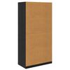 vidaXL Armoire Ch&ecirc;ne noir 100 x 50 x 200 cm Bois d'ing&eacute;nierie