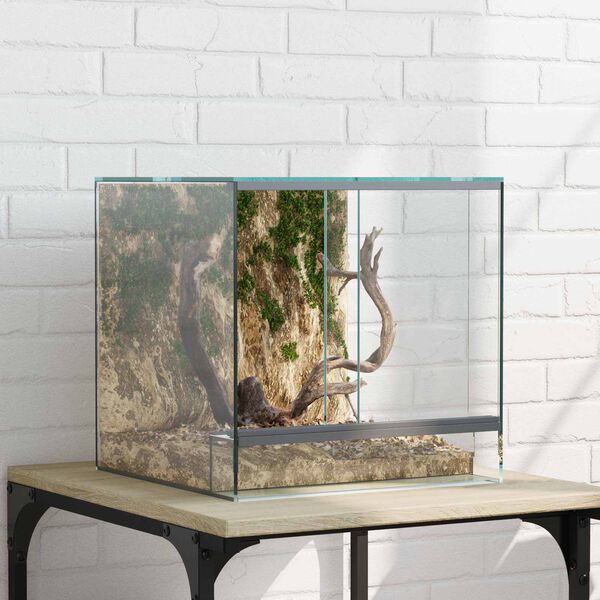 vidaXL Terrarium avec stockage Transparent 30 x 30 x 30 cm Verre