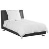 vidaXL Duvet d'hiver avec oreiller 2 pcs Blanc Plume de canard