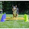 FitPAWS Kit d'agilit&eacute; pour chiens Canine Gym