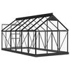 vidaXL Serre en verre Anthracite 155x298x191 cm Aluminium