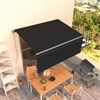 vidaXL Auvent manuel r&eacute;tractable avec store 3x2,5 m Anthracite