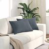 vidaXL Coussins de canap&eacute; 2 pcs Gris fonc&eacute; 60 x 40 cm