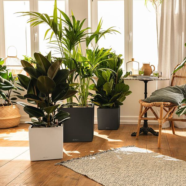 LECHUZA Jardini&egrave;re CUBE 30 ALL-IN-ONE Charbon m&eacute;tallique