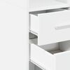 vidaXL Armoire de rangement mince blanc 40x42,5x225 cm