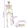 vidaXL Squelette de d&eacute;coration Halloween 2 pcs Blanc Polypropyl&egrave;ne