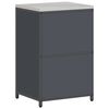 vidaXL Rangement de cuisine Anthracite 60 x 50 x 92 cm Acier