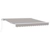 vidaXL Auvent Gris clair 300 x 250 x 165 cm Polyester