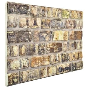 vidaXL Panneaux muraux 10 pcs Multicolore 100 x 50 cm Mousse EPS