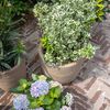 Capi Pot &agrave; fleurs Waste Rib 35x34 cm Beige terrazzo