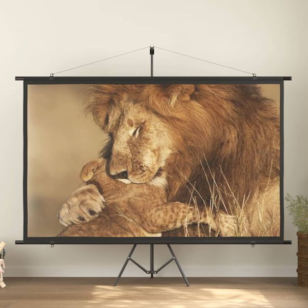 vidaXL &Eacute;cran de projection 108" 16:9