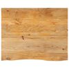 vidaXL Dessus de table &agrave; bord vivant 100x80x2,5cm bois massif manguier