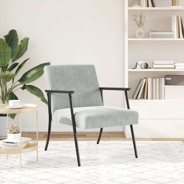vidaXL fauteuil Gris clair 59 x 75 x 78 cm Velours