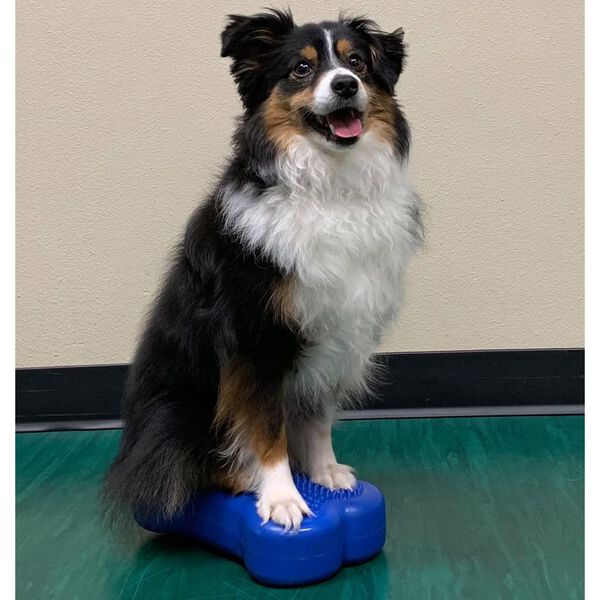 FitPAWS Plate-forme d'&eacute;quilibre pour animaux de compagnie 2 pcs Bleu
