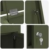 vidaXL Bo&icirc;te de d&eacute;p&ocirc;t de colis Vert olive 44,5 x 29 x 110,5 cm Acier