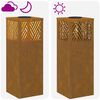 vidaXL Lumi&egrave;re de chemin LED solaire 2 pcs Bronze Acier patin&eacute;