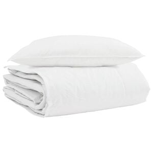 vidaXL Duvet d'hiver avec oreiller 2 pc Blanc Plume de canard