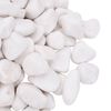 vidaXL Galets polis 10 kg blanc 2-5 cm