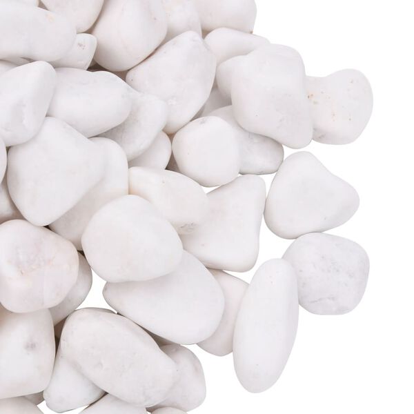 vidaXL Galets polis 25 kg blanc 2-5 cm