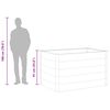 vidaXL Lit sur&eacute;lev&eacute; de jardin WPC 150x100x91 cm Gris