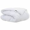 vidaXL Duvet d'hiver 220 x 140 x 5 cm Hiver Polyester Blanc Respirant