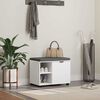 vidaXL Banc d'entr&eacute;e avec coussin Uni Blanc 60 x 38 x 46 cm