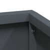 vidaXL Cache-pot de jardin Anthracite 100 x 100 x 50 cm