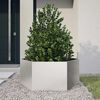vidaXL Jardini&egrave;re hexagone 104x90x45 cm acier inoxydable