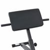 vidaXL Banc d'hyperextension Noir 100,5 x 70 x 78 cm