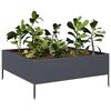 vidaXL Lit sur&eacute;lev&eacute; de jardin anthracite 100x100x25 cm acier