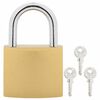 vidaXL U Lock avec Cl&eacute;s 6 pcs Laiton Fer