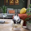 DISTRICT70 Lit en peluche pour chats NORDIC Mocca